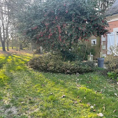 La Durellerie Casa de hóspedes Coulonge (Sarthe)
